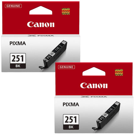 Original Canon CLI-251 Standard Yield Black (2-Pack) Ink Cartridge, 6512B005