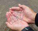 Microplastics: The Invisible Threat Lurking in Everyday Items