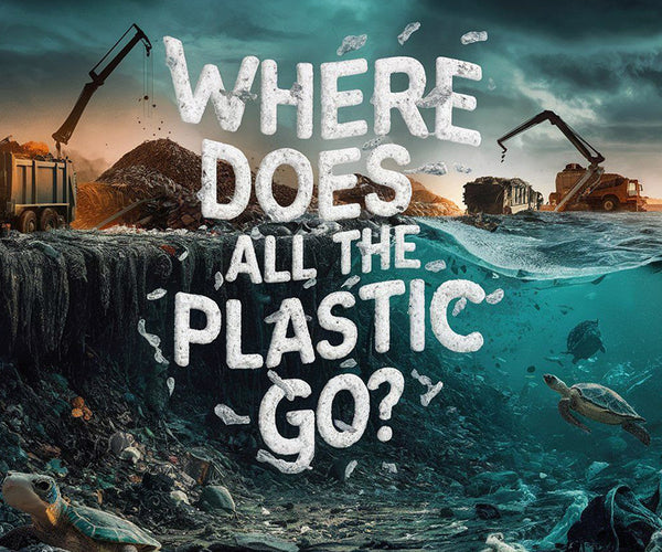 From Streets to Seas: The Journey of Plastic Pollution