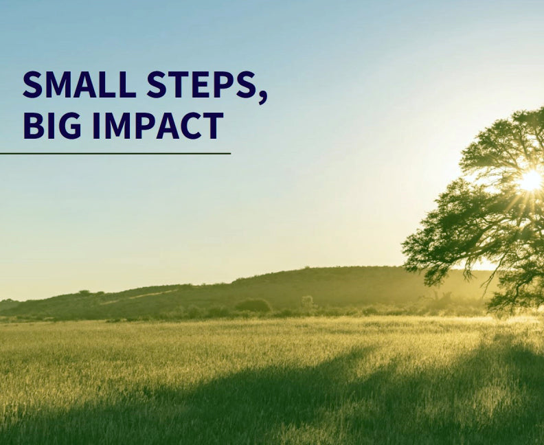 Environmental Progress Is Built One Small Choice at a Time