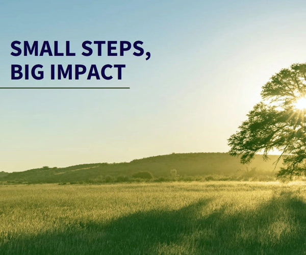 Environmental Progress Is Built One Small Choice at a Time
