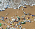 Plastic Waste Is a Long-Term Environmental Issue