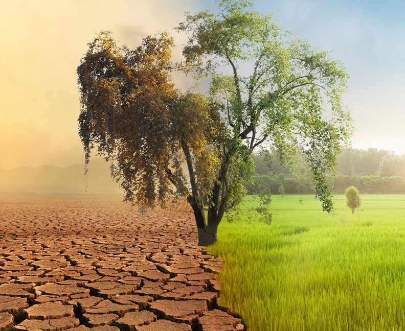 Environmental Impact Is Measured in Decades, Not Days