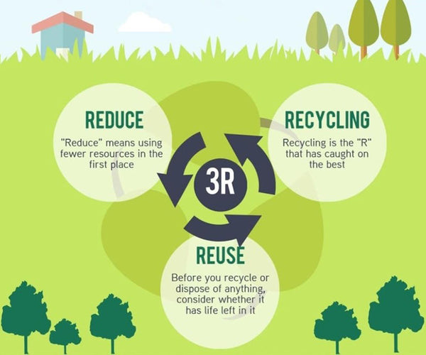 Small Recycling Decisions Create Big Environmental Impact