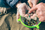 Microplastics: A Growing Environmental Menace