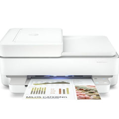 HP Envy Pro 6420 Ink Cartridges 